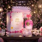 AP WARDA KISS -1